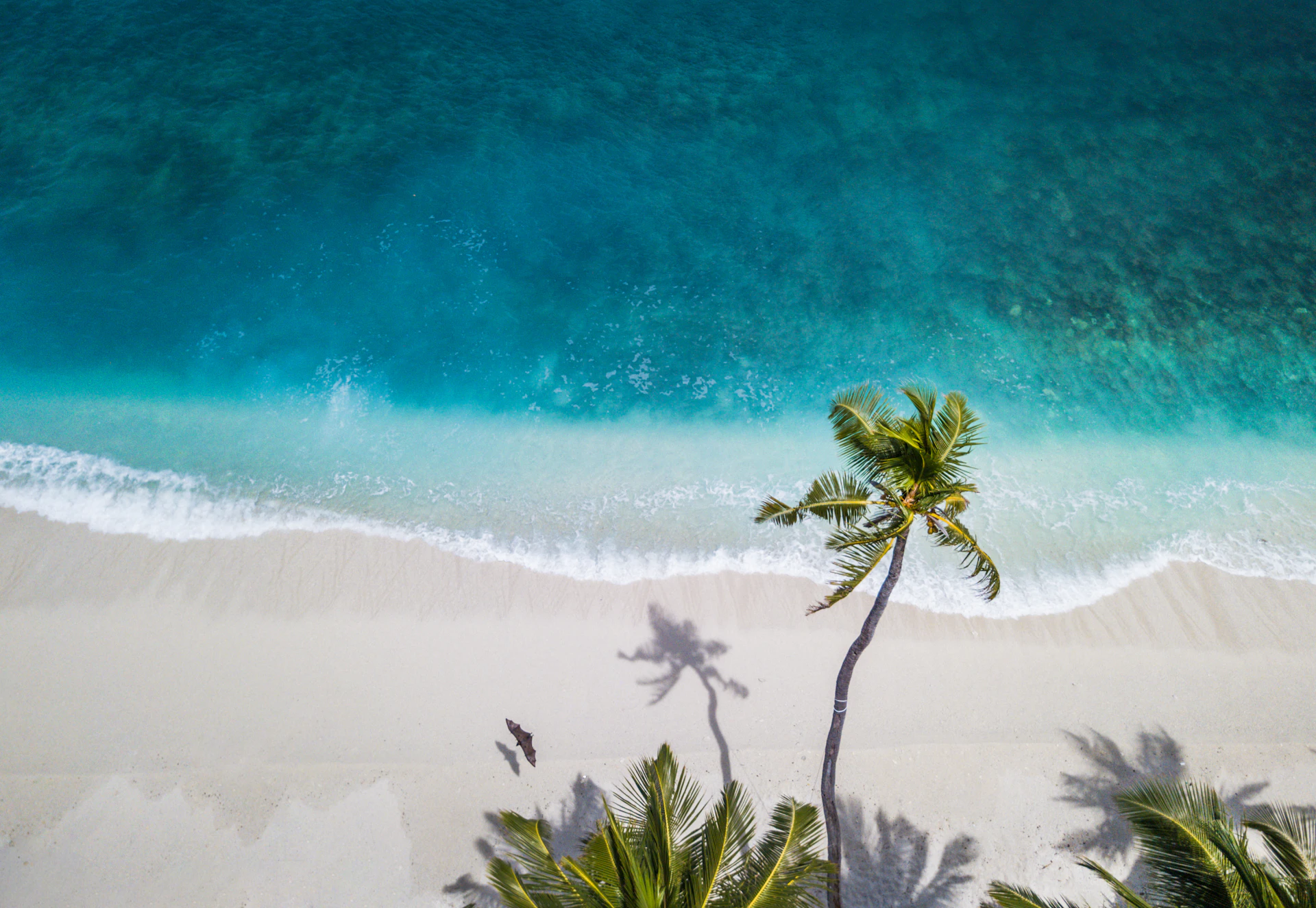 Mejor época para viajar a Galápagos (y cuál es el mito) — guía de viaje de Top Travel