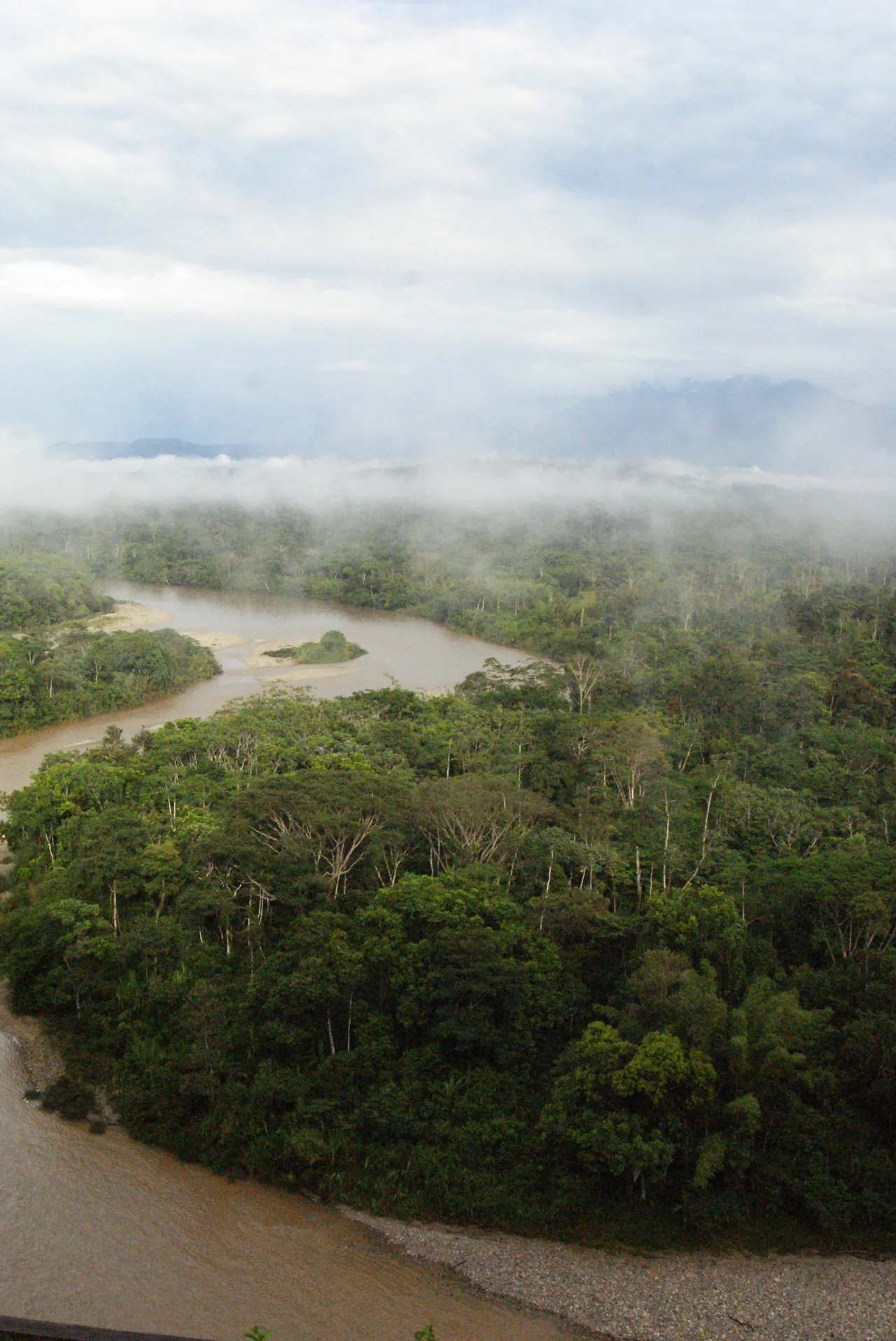 Amazonía ecuatoriana, Ecuador