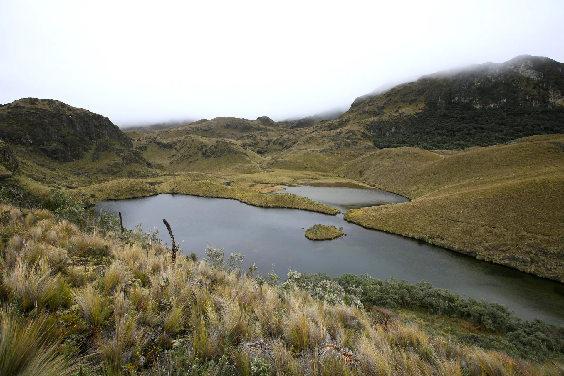 Paisaje de Parque Nacional Cajas en Azuay, destino de viaje con Top Travel