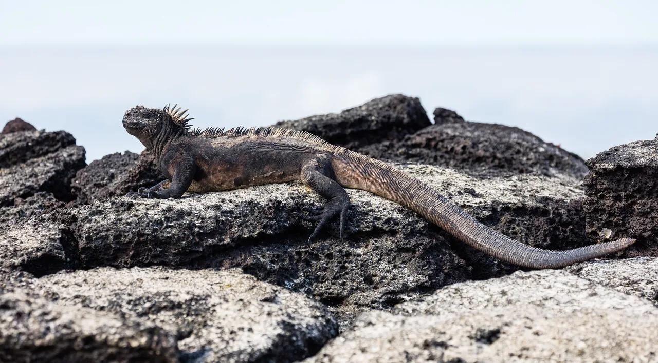 Islas Galápagos, Ecuador
